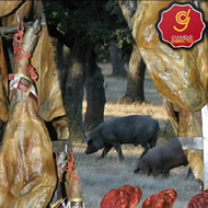HISTORIA DEL JAMON IBÉRICO El cerdo ibérico y el entorno natural de la Dehesa.
Origen y evolución del Cerdo Ibérico.